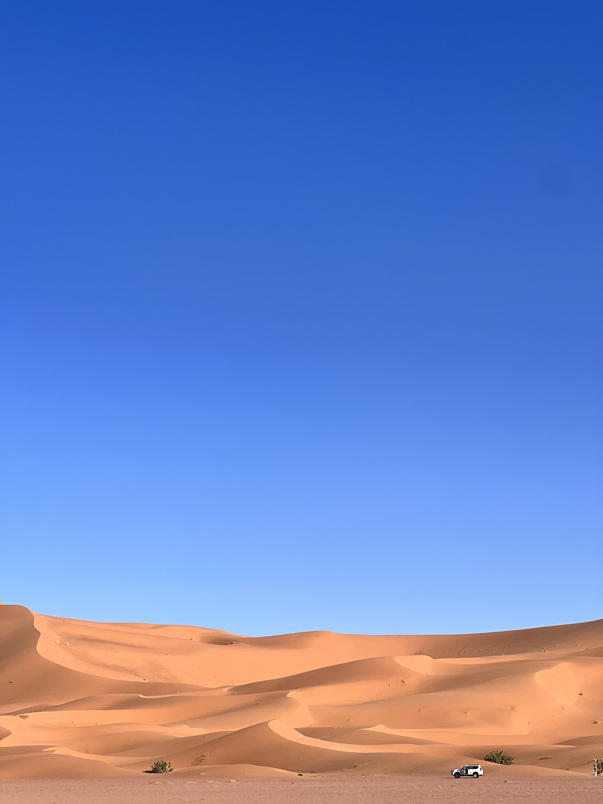 sahara deserto